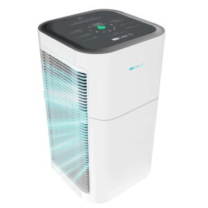 How Do Air Purifiers With UV Light Work?